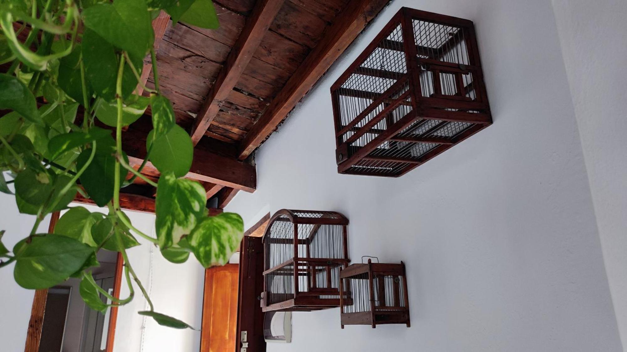 Willa La Casita Del Muelle Garachico  Zewnętrze zdjęcie